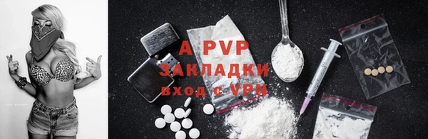 2c-b Бородино