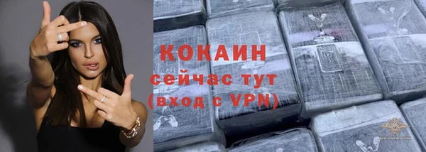 2c-b Бородино
