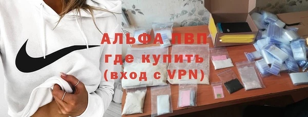 2c-b Бородино
