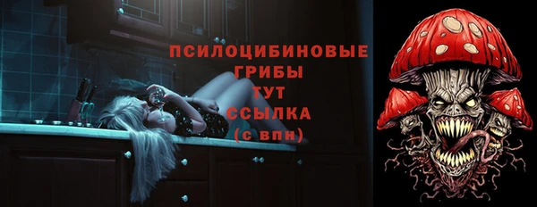 спиды Бронницы
