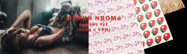 крисы Богородицк