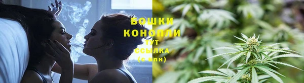 ALPHA PVP Богданович
