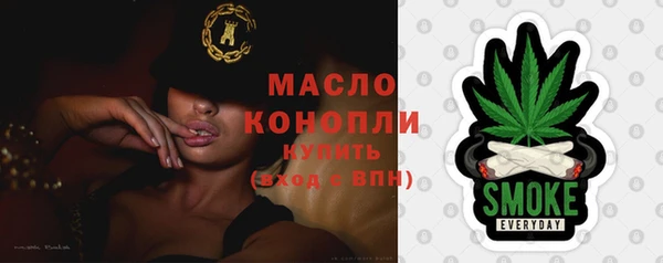 крисы Богородицк