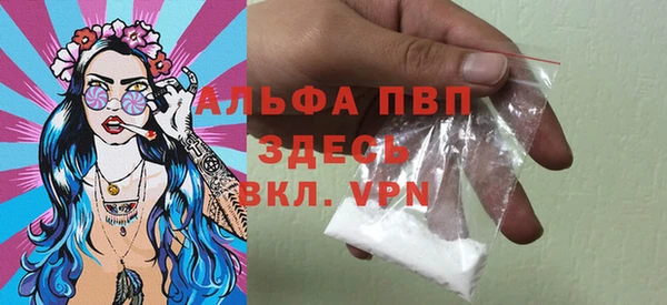 крисы Богородицк