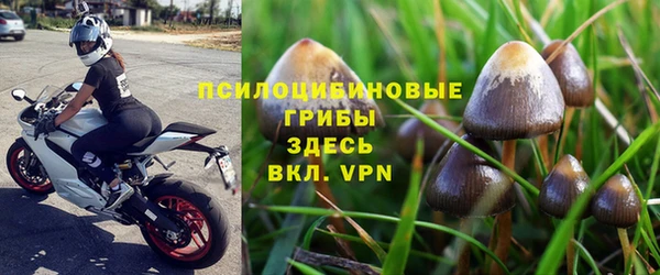 стаф Богородск