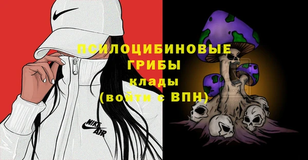 ALPHA PVP Богданович