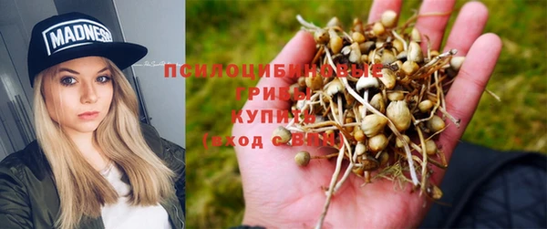 гидра Бугульма