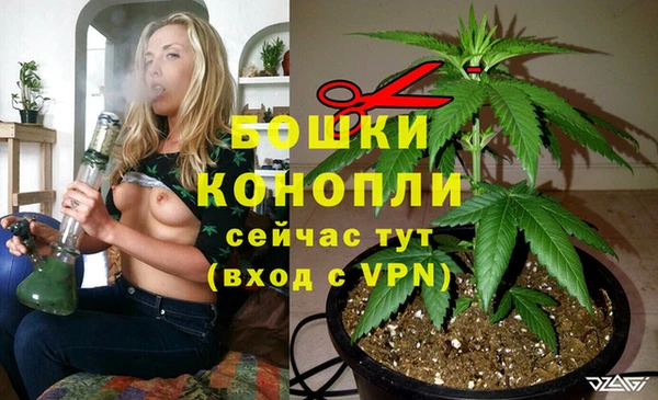 гидра Бугульма