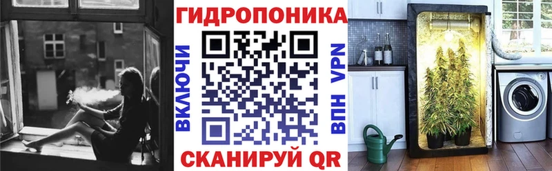 наркошоп  Чудово  Канабис конопля 